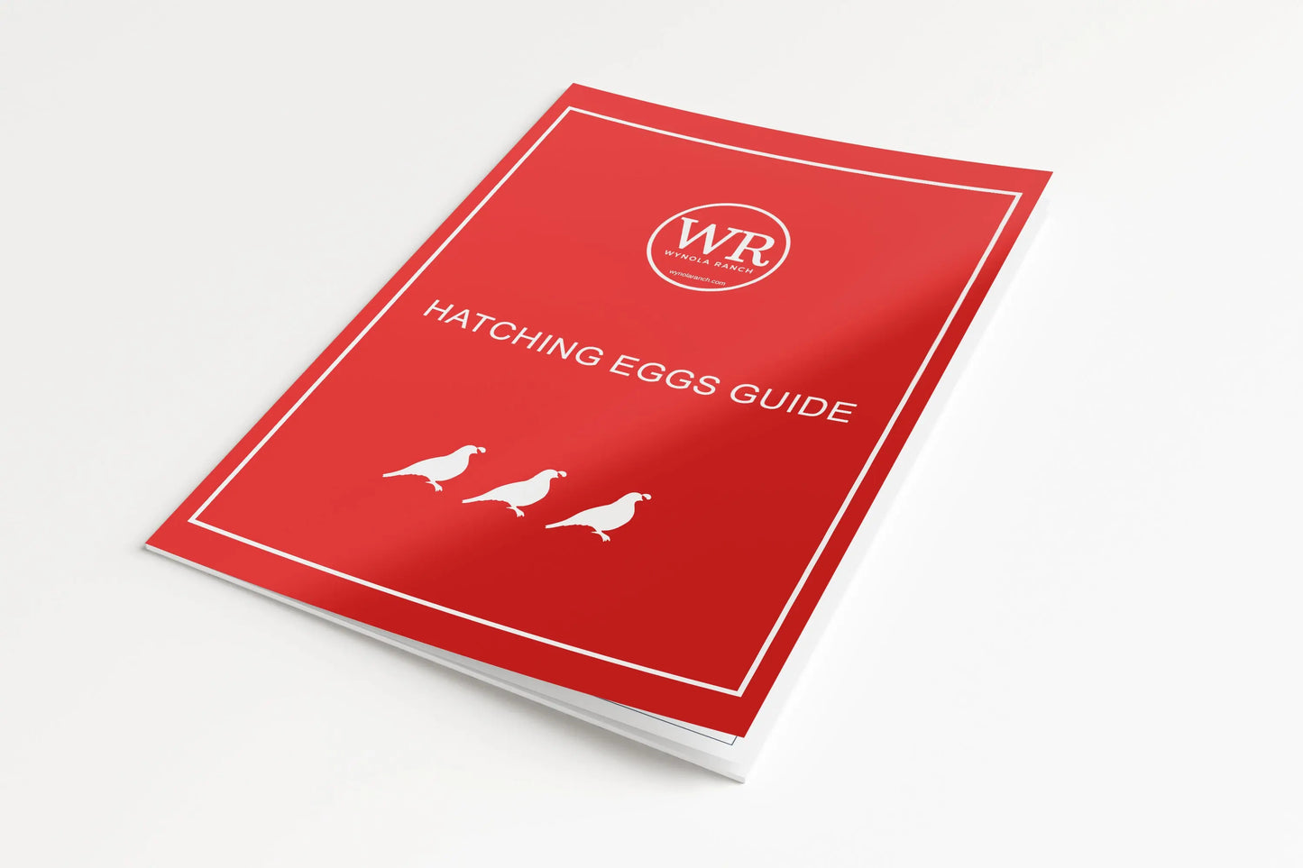 Hatching Eggs Guide Wynola Ranch