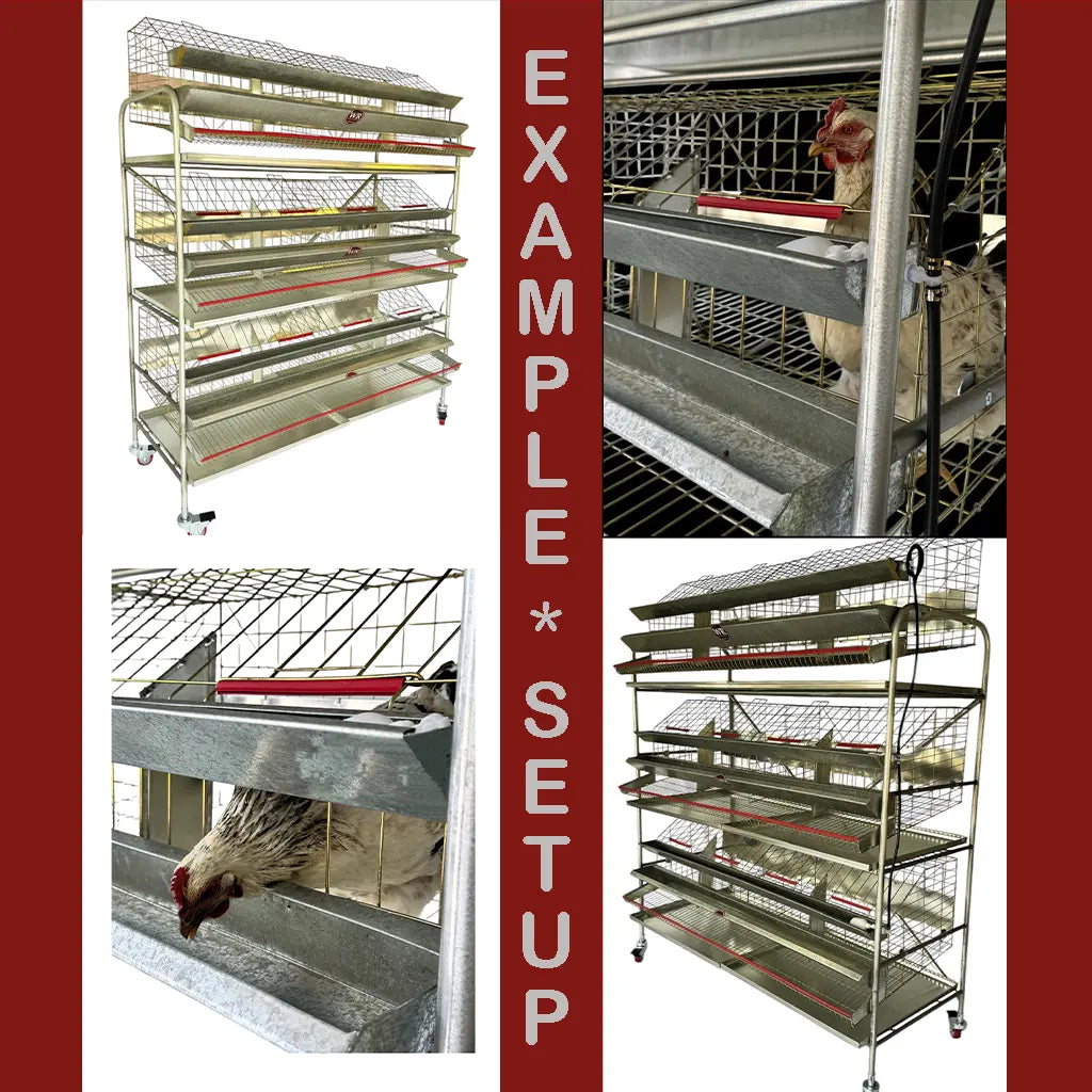 Chicken cage Wynola Ranch