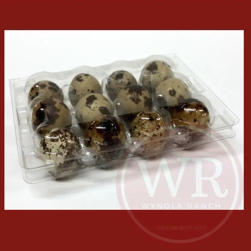 Quail Egg Cartons, Pack of 25, Each Holds 12 Wynola Ranch