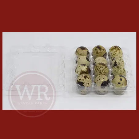 Quail Egg Cartons, Pack of 25, Each Holds 12 Wynola Ranch