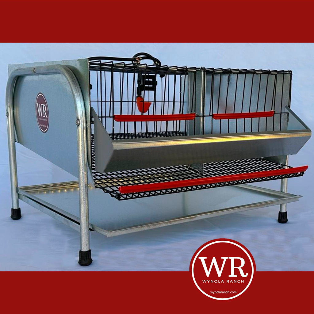 Quail Cages QUAIL CAGE FOR LAYING & BREEDING PVC COATED FLOOR Wynola