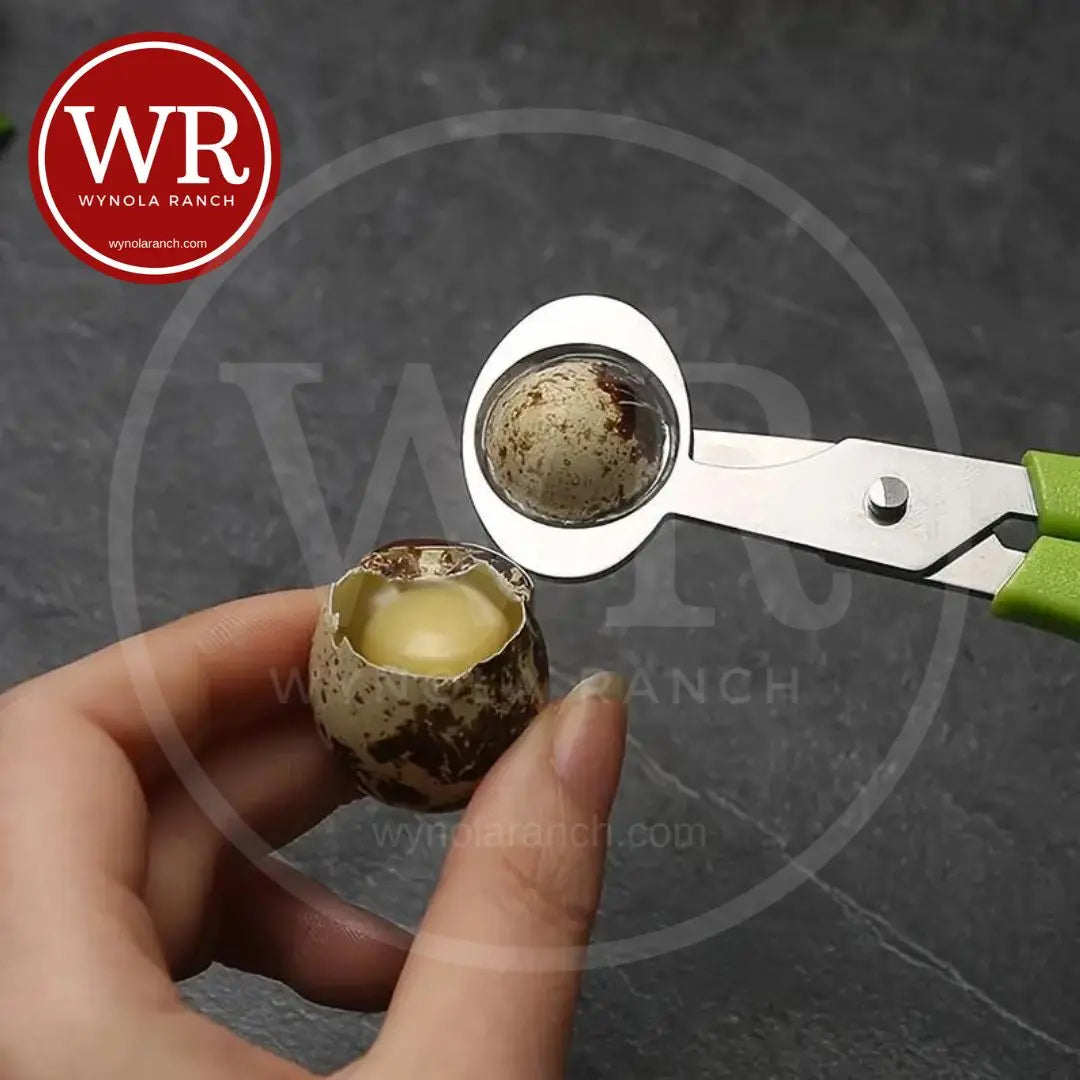 Quail Egg Cutter -Stainless x3 Wynola Ranch