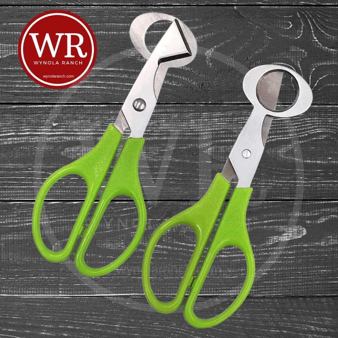 Quail Egg Cutter - 2 Stainless Pack Wynola Ranch