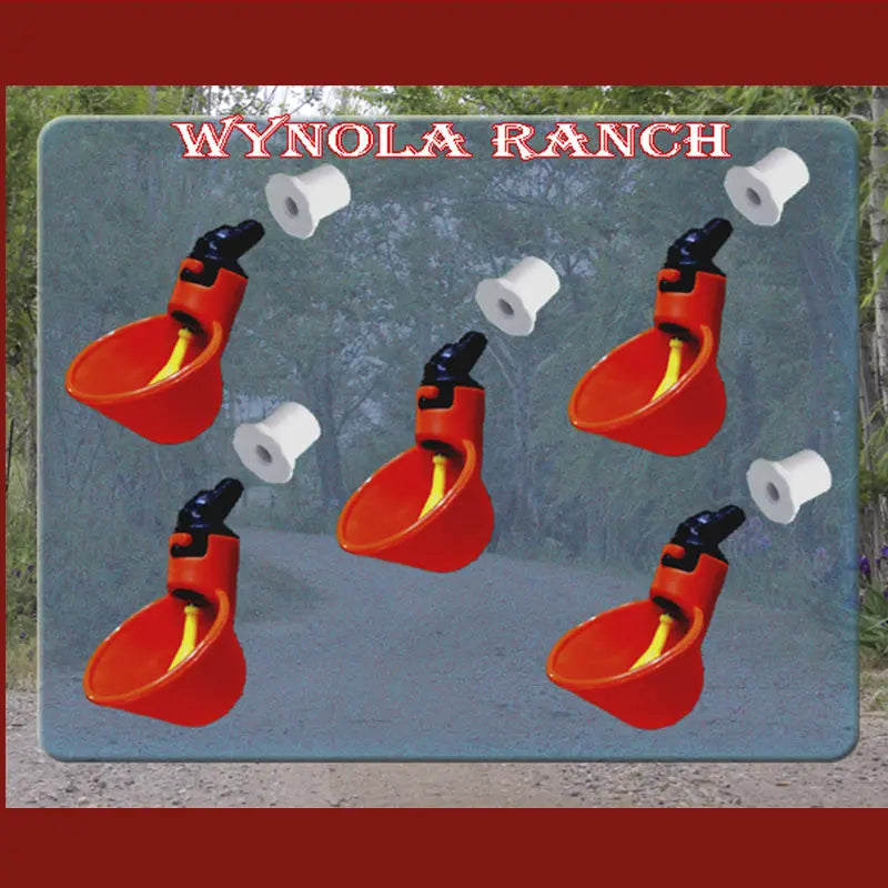 Drinkers Poultry Water Drinking Cups 5 Chicken Hen Plastic Automatic Drinker,Quail Cups Automatic Drinker,Quail