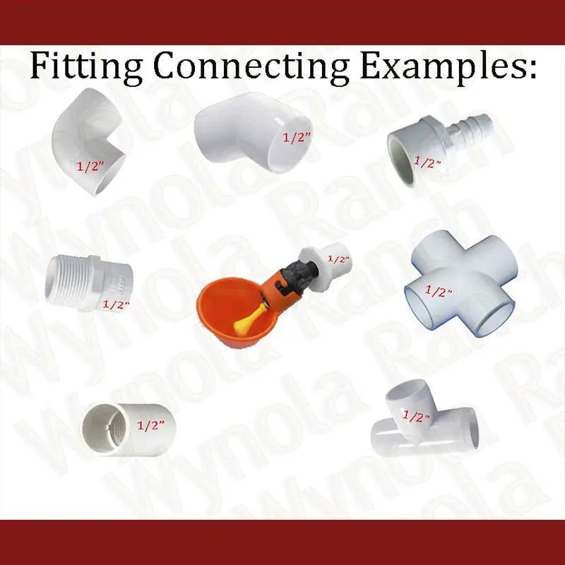 Drinkers Poultry Water Drinking Cups 5 Chicken Hen Plastic Automatic Drinker,Quail Cups Automatic Drinker,Quail