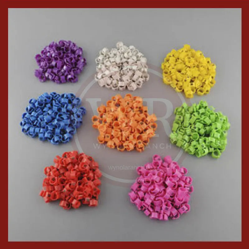 Quail Leg Bands Assorted Wynola Ranch