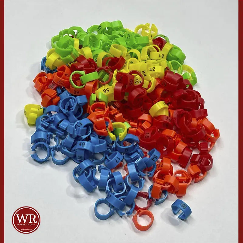 Parts Quail Leg Bands Assorted Quail leg Bands