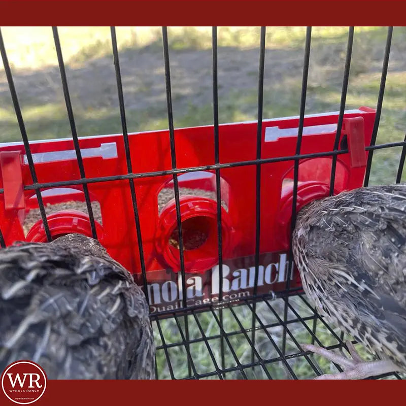 Parts Quail Feed Saver Port / Chicken Feed Saver Quail Feed Saver Chicken Feed Saver