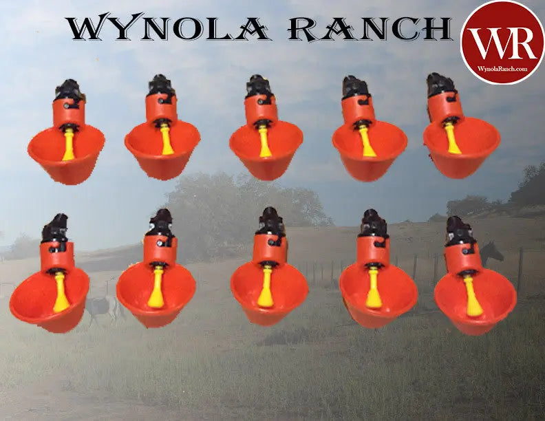 Drinkers 10 Automatic Waterer Cups automatic drinker quail chicks chicken
