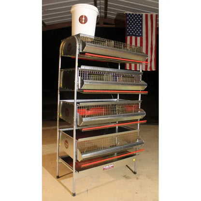 36"-4 Tier Heavy Duty Battery Quail Cage (4 full Sections) Wynola Ranch