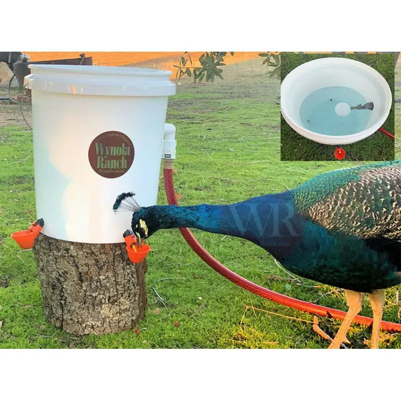 Chicken Automatic Drinker Bucket KIT Wynola Ranch