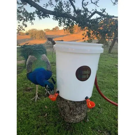 Chicken Automatic Drinker Bucket KIT Wynola Ranch