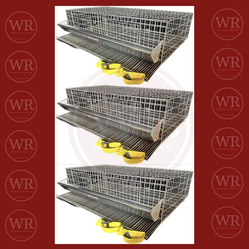 Quail Cages Quail cage 2 section & Feeder/Drinker ( 3 pack ) Quail Cage